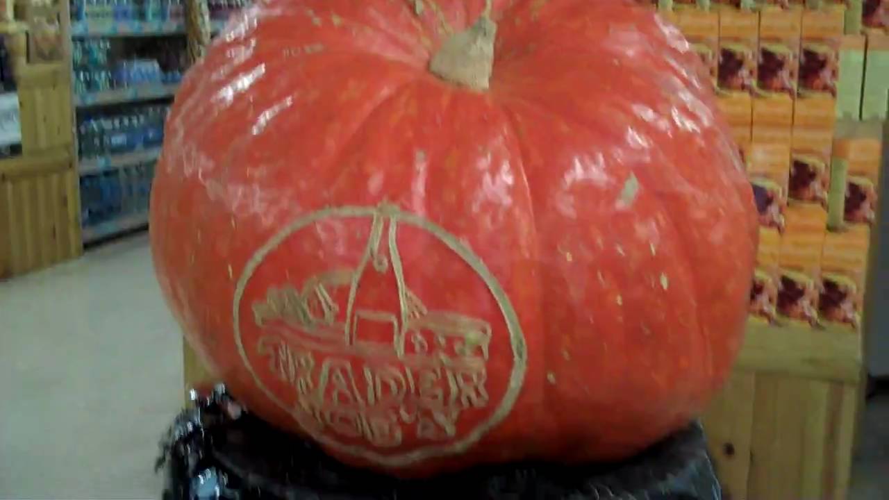 Biggest Halloween Pumpkin YouTube biggest-halloween-pumpkin-youtube