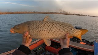 РЕКОРДНЫЙ КАРП сезона украл снасть с КУКУРУЗОЙ
