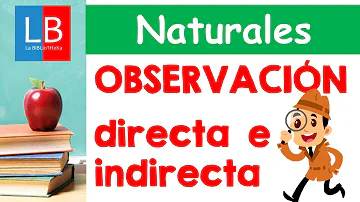 ¿Qué es la caracterización directa e indirecta para niños?