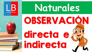 ¿Qué son las actividades de caracterización directa e indirecta?