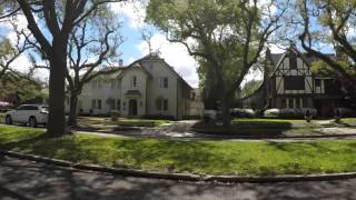 Oak Tree Lane
