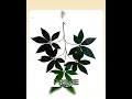 Artificial Silk Money Tree Branch aka Pachira x 12 per box