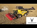 Maisernte mit einem New Holland Mähdrescher | Geringhoff Maispflücker | Lohnunternehmen | harvest