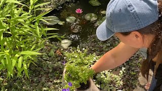 Patio Planting  How to Make ''Compost in Place''