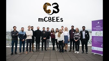 mCBEEs - Innovative Training Network