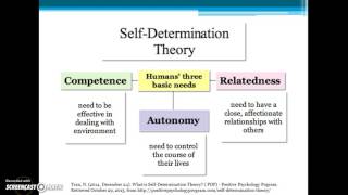 Leisure Coping Theory & Self-Determination Theory