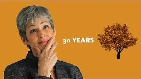 Lateral Attorney, Ann Burns