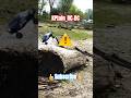 Monstertruck goes crazy - LRP S10 TWISTER MT #rc #offroad