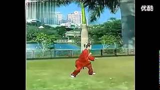陈式太极拳56式竞赛套路 余红霞背面演示 音乐琵琶吟