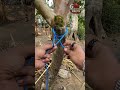 Here's a more knot