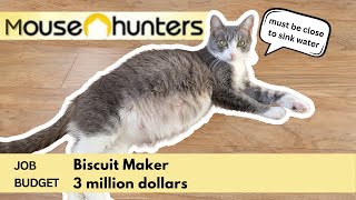 House Hunters CAT EDITION | Pregnant Cat Searches for Dream Home