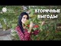 вторичные выгоды - удобно быть несчастным