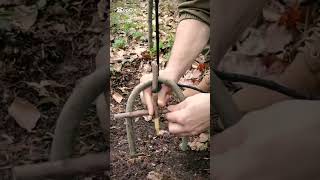 How to make a trap  #survival #wildliferescue #animaltrap #bushcraft #birdtrap #birdcontrol #nature