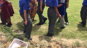 Class III- Composting