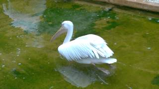 WP 20141019 11 13 58 Pro