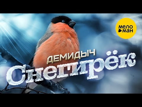 Демидыч  — Снегирек 12+