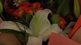 Düş Sokağı Sakinleri - Sevdan Bir Ateş (Sara Yılmaz Cover)