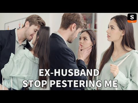 Ex-Husband, Stop Pestering Me poster