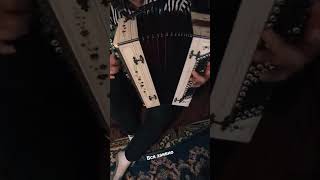 Цыганская полька на баяне #gypsy #полька #цыганскаяполька