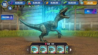 BLUE !!! UNLOCKED MAX LEVEL 40 FEEDING | Jurassic World The Game  Hoorikz ​