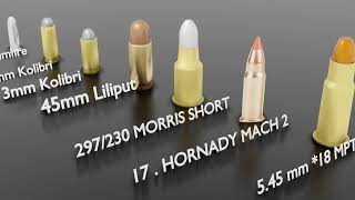 Ammunition Size Comparison | Bullets Comparison | 3D Comparison