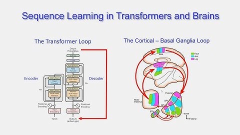 CARTA: Computational Neuroscience and Anthropogeny with Terry Sejnowski
