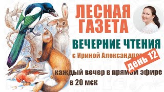 Лесная газета. Бианки. День 12