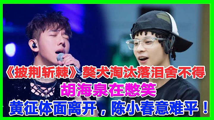 《披荊》獒犬淘汰落淚捨不得走，胡海泉在憋笑，黃征體面離開，陳小春意難平！#五公#大灣區 #張淇、#言承旭#熱狗#陳小春#林誌炫#張智霖#趙文卓#林曉峰#張藝興 - 天天要聞