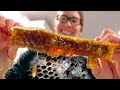 Honey ASMR... but what happened to the bees?