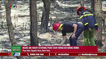 Nghệ An: Nguy cơ bùng phát cháy rừng do nắng nóng
