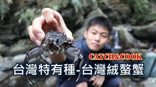【C&amp;C】東部才有的美味-台灣絨螯毛蟹! | 第一次嘗試抓毛蟹 ... 