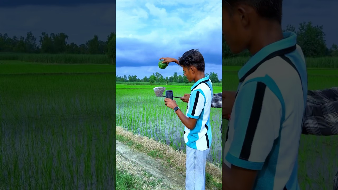 Nature amazing fruit creative videography #farming #nature #videography #creative #shorts