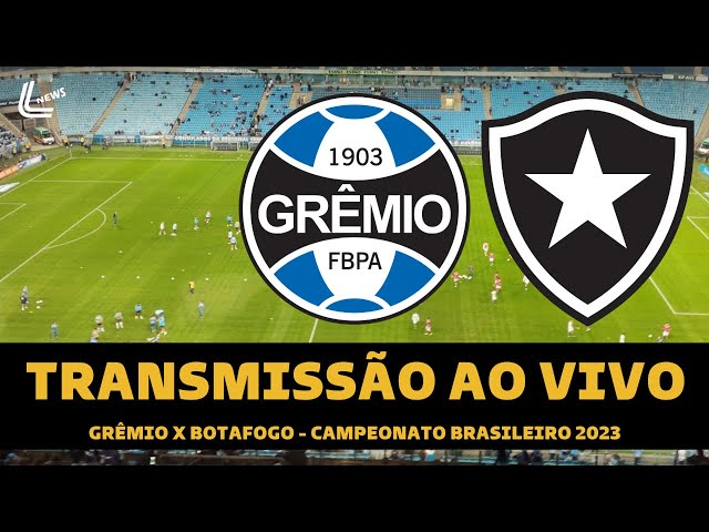 Cruzeiro x Botafogo ao vivo: onde assistir ao jogo do Brasileirão online