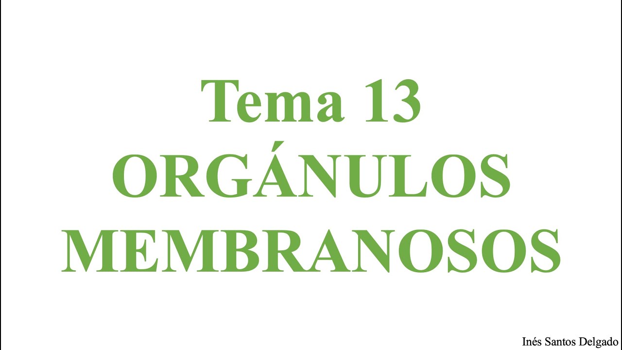 T13. Orgánulos membranosos