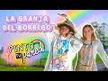 PINTÉ LA PARED DE BORRE EN SU GRANJA!! 🐓🎨🇨🇴