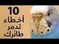 10 أخطاء قاتلة مع طائرك البادجي لا يعرفها الكثيرون