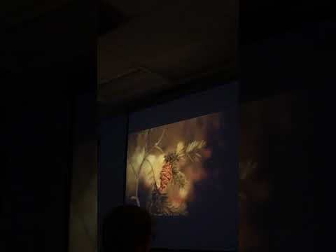 Test four ghth100 image