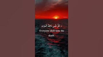 ﴿ كُلُّ نَفْسٍ ذَائِقَةُ الْمَوْتِۖ ﴾ تلاوة مؤثره للقارئ شريف مصطفى