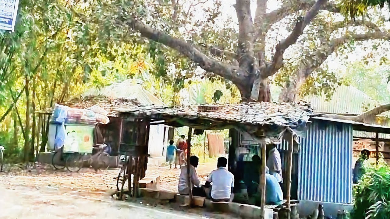 টেংঙ্গাখালী থেকে বাশকোঠা হয়ে মাগুরা চৌরঙ্গী #Magura #VillageVibes #Tengakhali