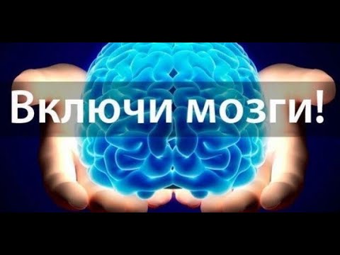 Включай мозги ведущий