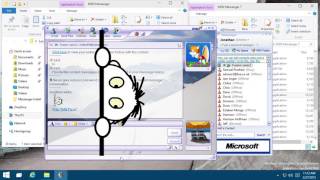 MSN and Windows Live Messenger History screenshot 3