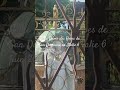 Notre Dame Miraculeuse des Roses de San Damiano En Italie 6 juin 2026