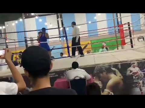 بطولة الإسكندرية للملاكمة شباب