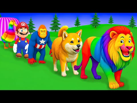 الليلة الأولى ليالي الامتحان الأخيرة ثالثة ثانوي ٢٠٢٥ مع أ محمد صلاح