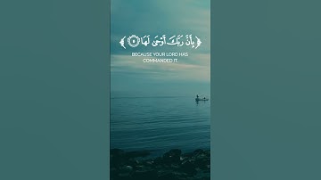 سورة الزلزلة بصوت القارئ محمد الفقيه