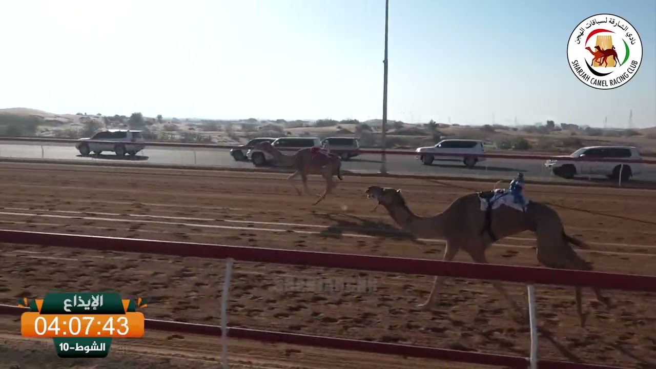 ميــدان الذيد - ش 10 الإيذاع 19/01/2026 الطاير لـ سعيد مظفر محمد العامري.  التوقيت: 