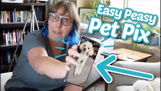 Dog Photos in a Snap  Cell Phone Pet Photography FULL GUIDE