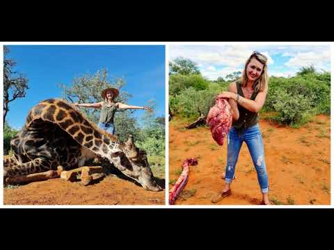 Hunter kills giraffe, poses with its heart she cut out as her V-Day gift | Really News