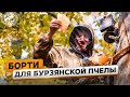 Как сохраняют бурзянскую пчелу |@Русское географическое общество