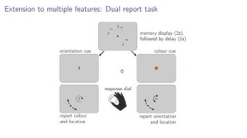 VSAONLINE. Season 10. Sebastian Schneegans.
